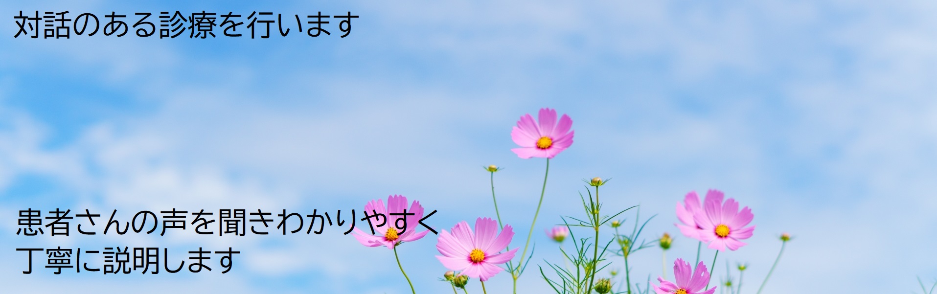 対話ある診療を行います。　患者様の声を聞き、分かりやすく、丁寧にご説明させていただきます。